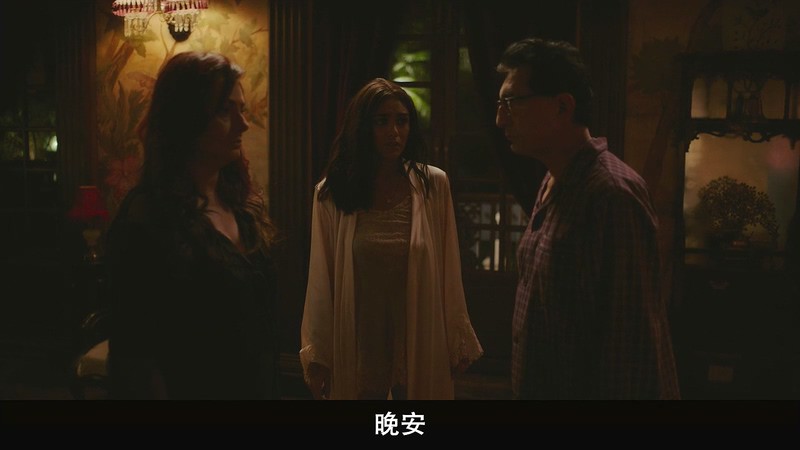 2020惊悚恐怖《猛鬼故事》HD720P&HD1080P.印地语中字截图