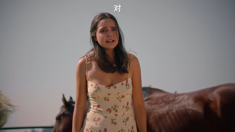 2021美国爱情《灰姑娘的故事：明星之恋》HD720P&HD1080P.英语中字截图