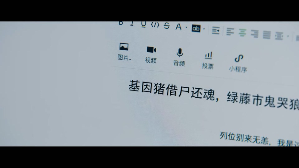 2021国剧《致命愿望》12集全.HD1080P.国语中字截图