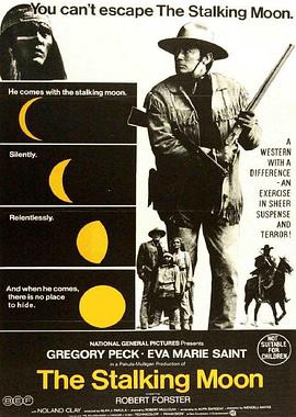 月落大地封面图