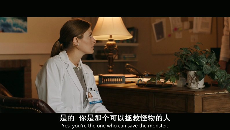 2019美国惊悚《痊愈/索命》HD720P&HD1080P.英语中英双字截图