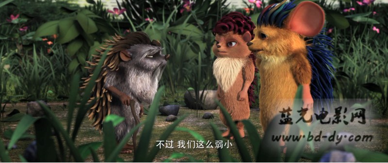 《刺猬小子之天生我刺》2015国产动画冒险.HD720P.国语中字截图