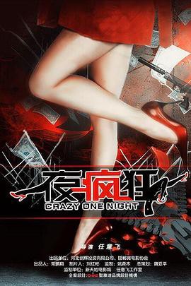 一夜疯狂封面图