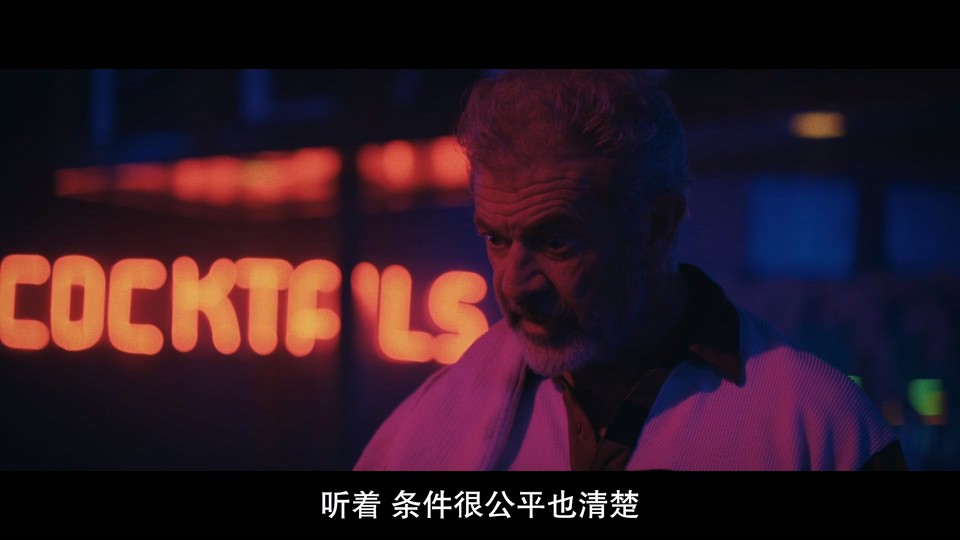  盗贼 2022动作惊悚 1080p.BD中英双字 