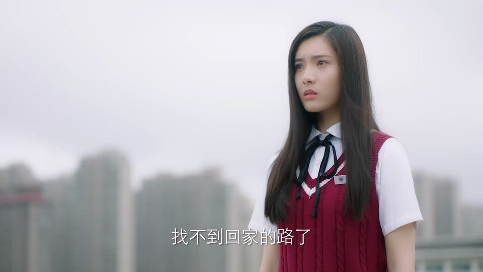 2023国剧《我的刺猬女孩之念念不忘》24集全.HD1080P.国语中字截图