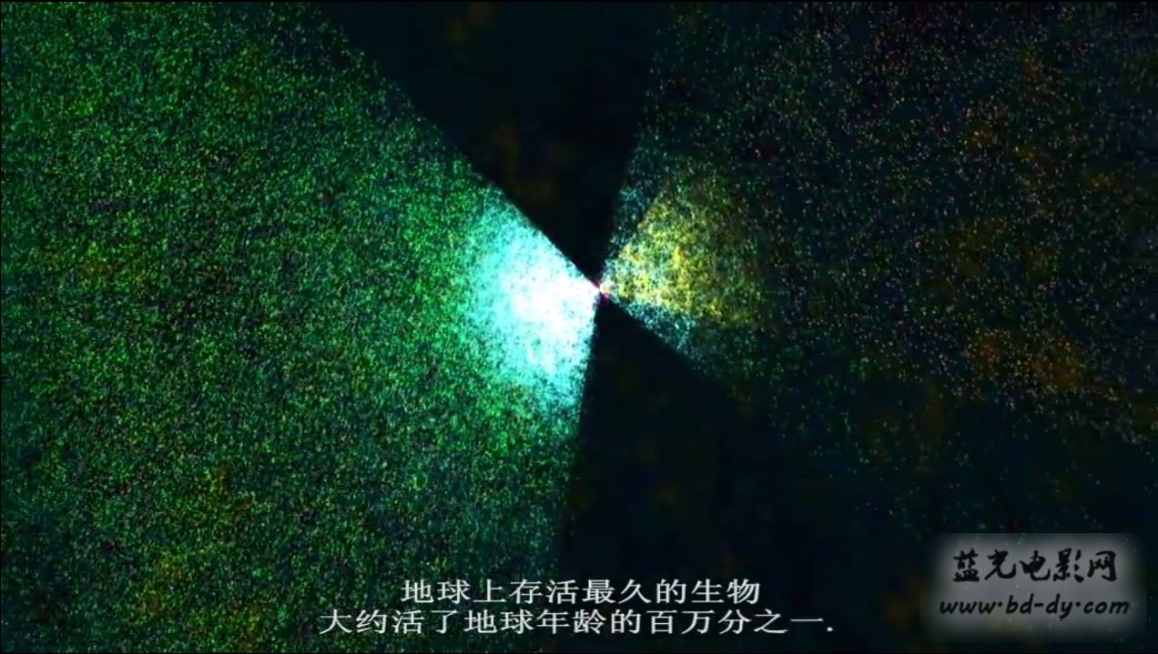 《万物一体》2015高分纪录片.HD720P.英语中字截图