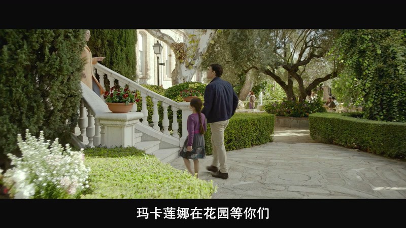 2018西班牙剧情《血脉之树》HD720P&HD1080P.西班牙语中字截图