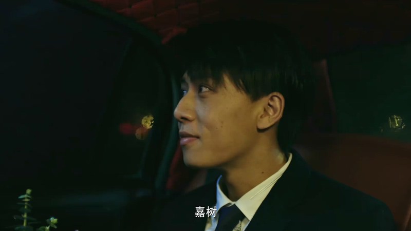 2019犯罪国剧《伪钞者之末路》24集全.HD1080P.国语中字.无水印截图