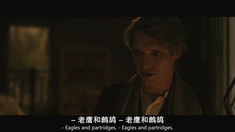 2018高分剧情《海鸥》BD720P&BD1080P.英语中英双字截图