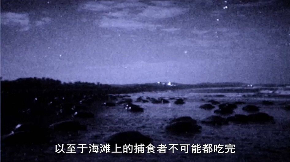 蓝色星球剧照