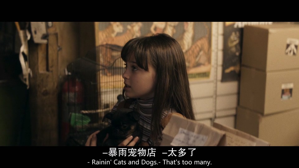 2022恐怖惊悚《夺命水箱》HD1080P.英语中英双字截图