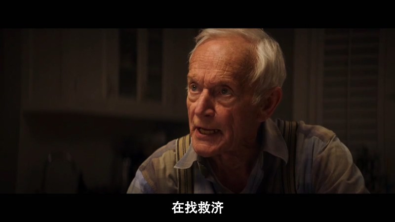 2020加拿大剧情《陨落》HD720P&HD1080P.英语中字截图