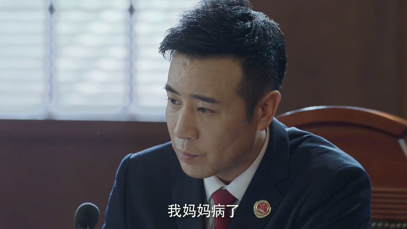 2020国剧《决胜法庭》40集全.HD1080P.国语中字截图