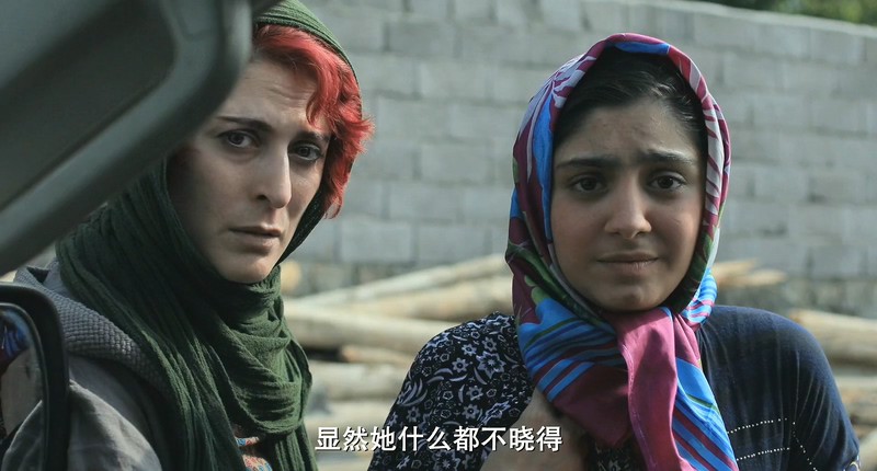 2018伊朗剧情《三张面孔》HD1080P&HD720P.波斯语中字截图