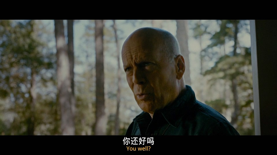 2022动作惊悚《美国围攻》BD1080P.英语中英双字截图