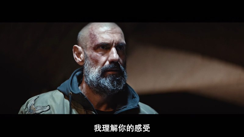 2020意大利剧情《人间猛兽》HD720P&HD1080P.意大利语中字截图