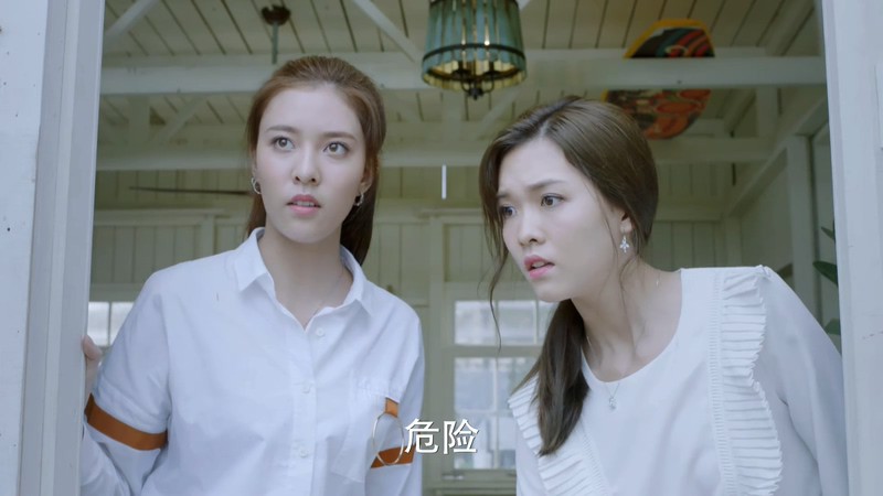 2019爱情喜剧《神犬小七第三季》43集全.HD1080P.国语中字.无水印截图