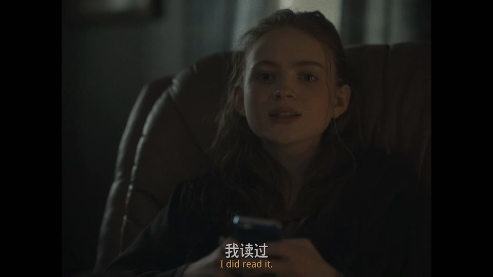 2022同性剧情《鲸》BD1080P.英语特效中英双字截图