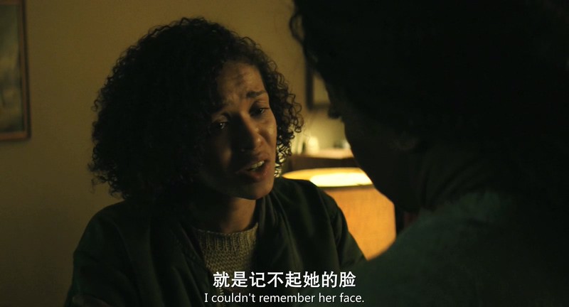 2018科幻惊悚《永不褪色》HD720P&HD1080P.英语中英双字截图