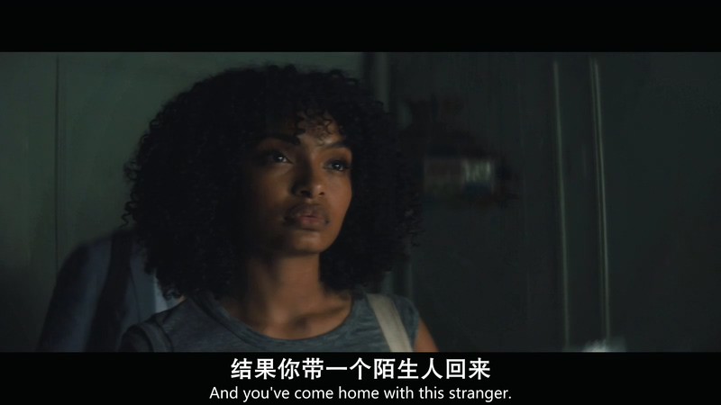 2019美国剧情《太阳也是星星》HD720P&HD1080P.英语中英双字截图