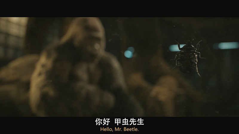 2020奇幻冒险《独一无二的伊万》HD720P&HD1080P.英语中英双字截图;jsessionid=sgxoE-gJjC2ItOTelgPpaaF611YSwovd9JfE3I4B