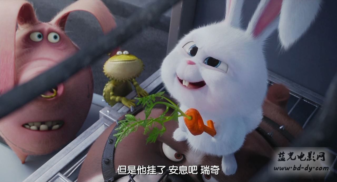 2016动画喜剧《爱宠大机密》BD1080P.中英双字截图