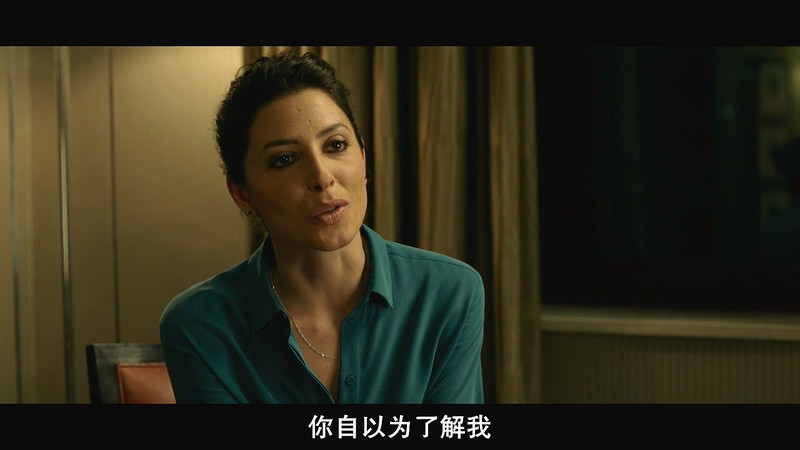 2018西班牙惊悚《王国》BD720P&BD1080P.西班牙语中字截图