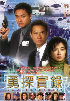 勇探实录封面图