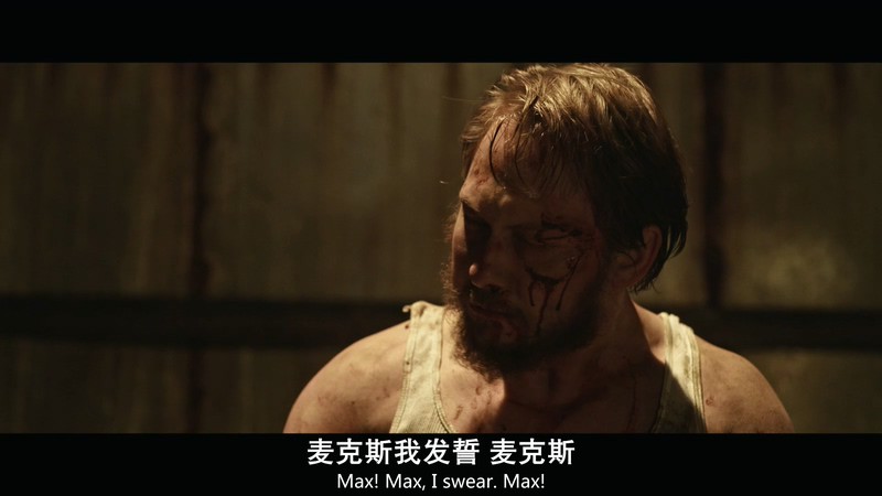 2018惊悚犯罪《报仇雪恨》HD720P&HD1080P.英语中英双字截图