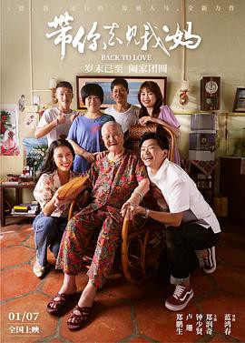 带你去见我妈封面图