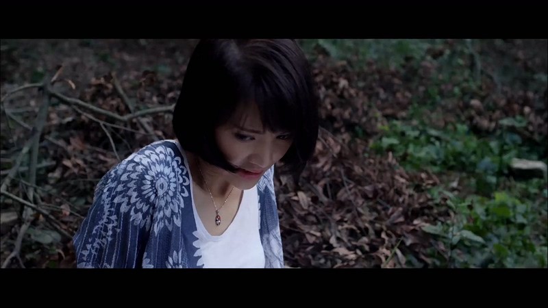2020恐怖惊悚《闺蜜心窍》HD1080P.国语中字截图