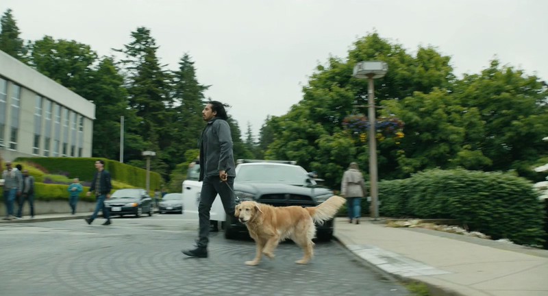 2019高分喜剧《我在雨中等你》BD720P&BD1080P.英语中英双字截图