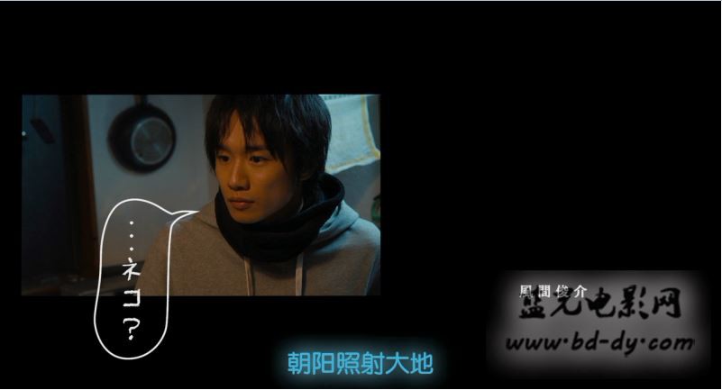 《为什么猫都叫不来》2016日本高分剧情.BD720P.高清日语中字截图