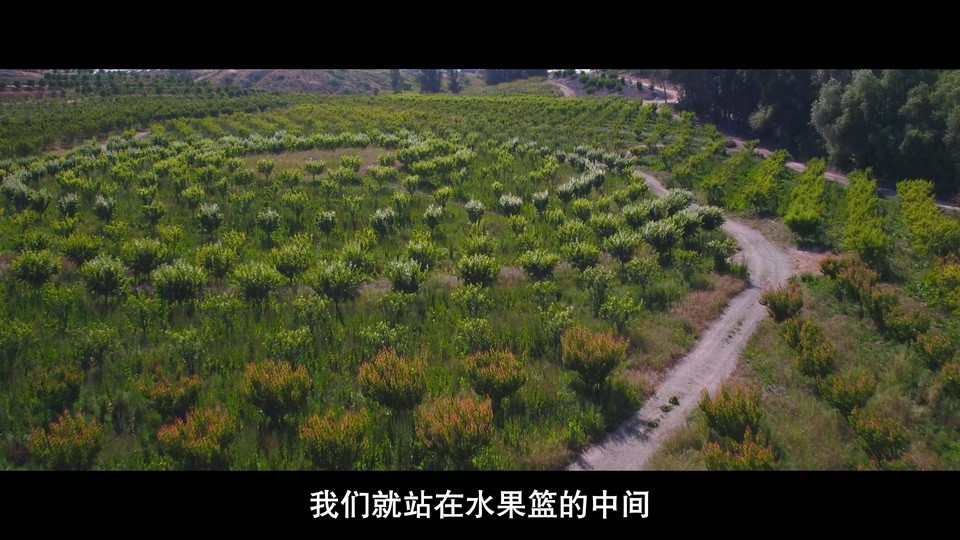 2022美国纪录《最大的小小农场：回归》HD1080P.英语中字截图