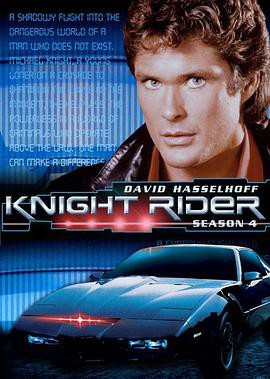 霹雳游侠第四季封面图