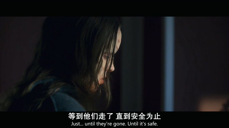 2018奥地利恐怖《黑暗》HD1080P&HD720P.德语中字截图