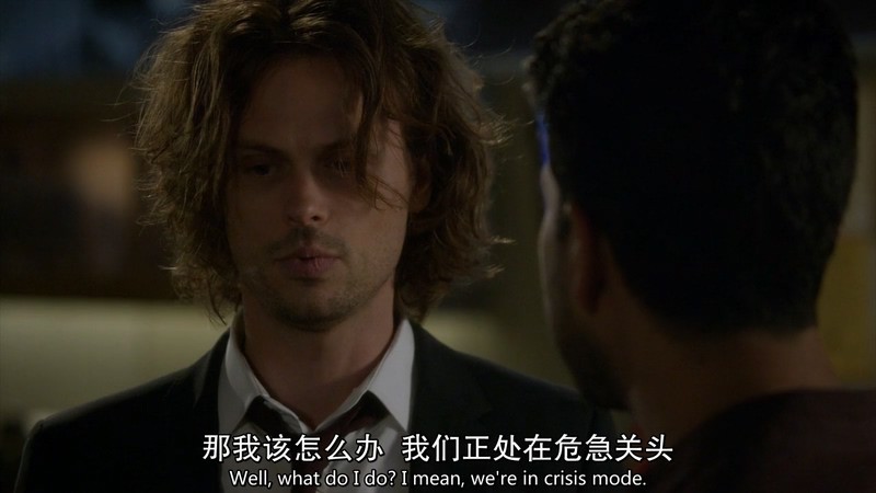 2017惊悚犯罪《犯罪心理第十三季》22集全.HD1080P.英语中英双字截图