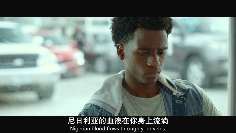 [HD-MP4] 归乡异途 / 尼日利亚王子 / 王子还乡记 / Nigerian Prince (2018)截图