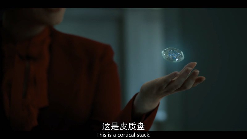 2018科幻美剧《副本第一季》10集全.HD1080P.英语中英双字截图