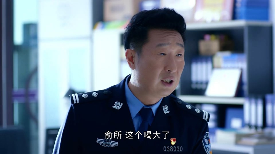 民警老林的幸福生活剧照