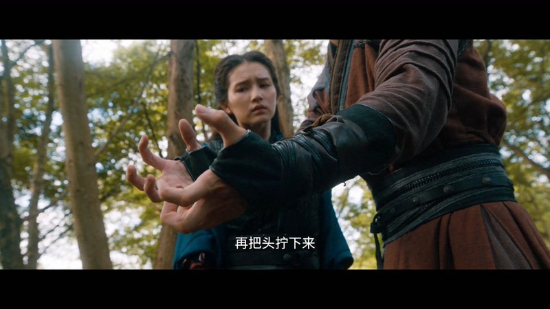 2021武侠动作《射雕英雄传之九阴白骨爪》HD1080P.国语中字截图