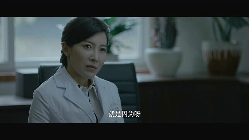 2015国产纪录片《疯人院第一部》12集全.4K.国语中字截图