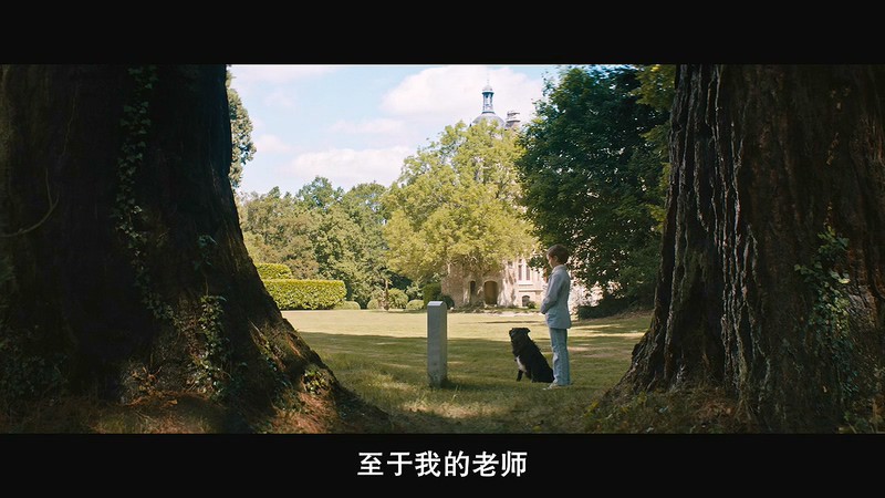 2018法国剧情《雷米奇遇记》BD720P&BD1080P.国法双语中字截图