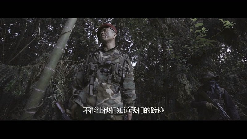 2020动作犯罪《势不可挡》HD1080P.国语中字截图