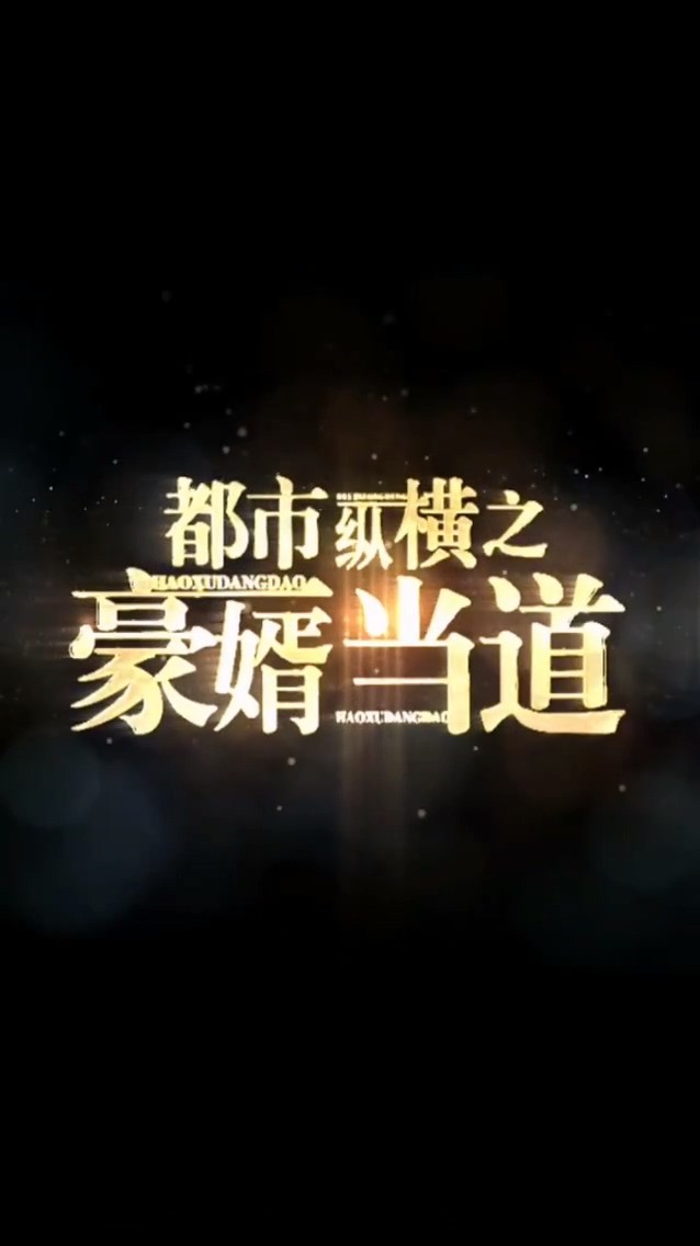 都市纵横之豪婿当道封面图