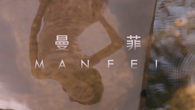 2017纪录片《曼菲》HD720P.国语中字截图