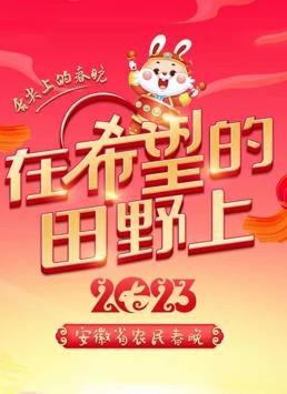 安徽农民春晚封面图