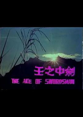 剑中之王封面图
