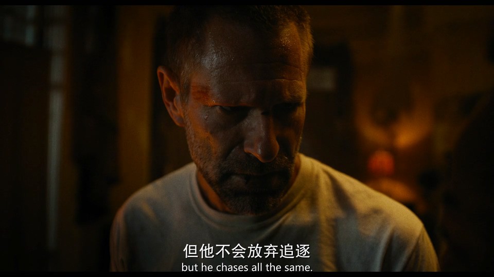 2023惊悚动作《黑暗斗士》HD1080P.英语中英双字截图