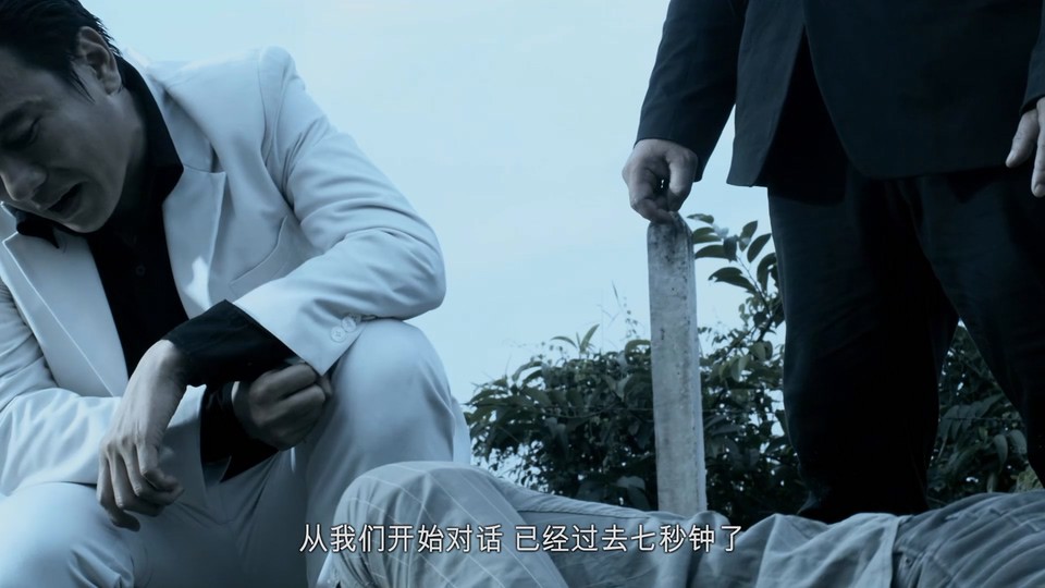 2009越南动作《冲撞》BD1080P.越南语中字截图